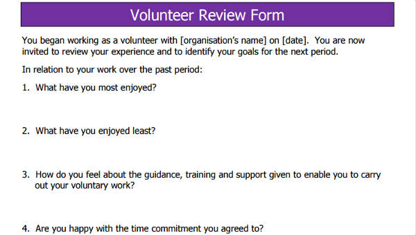 volunteer review form