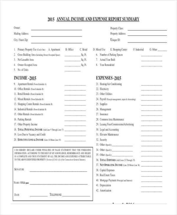 annual business expense and revenue reports template