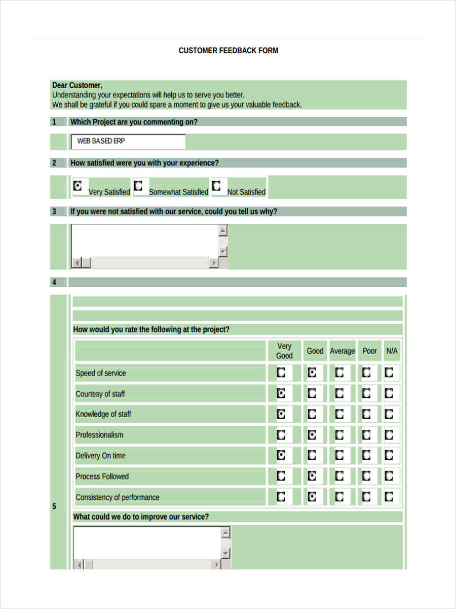 customer project feedback