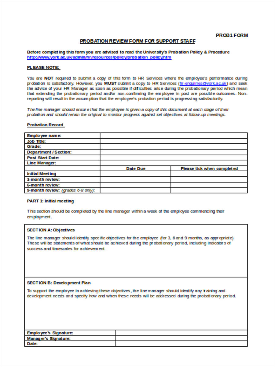 FREE 5+ Employee Training Assessment Forms in MS Word PDF