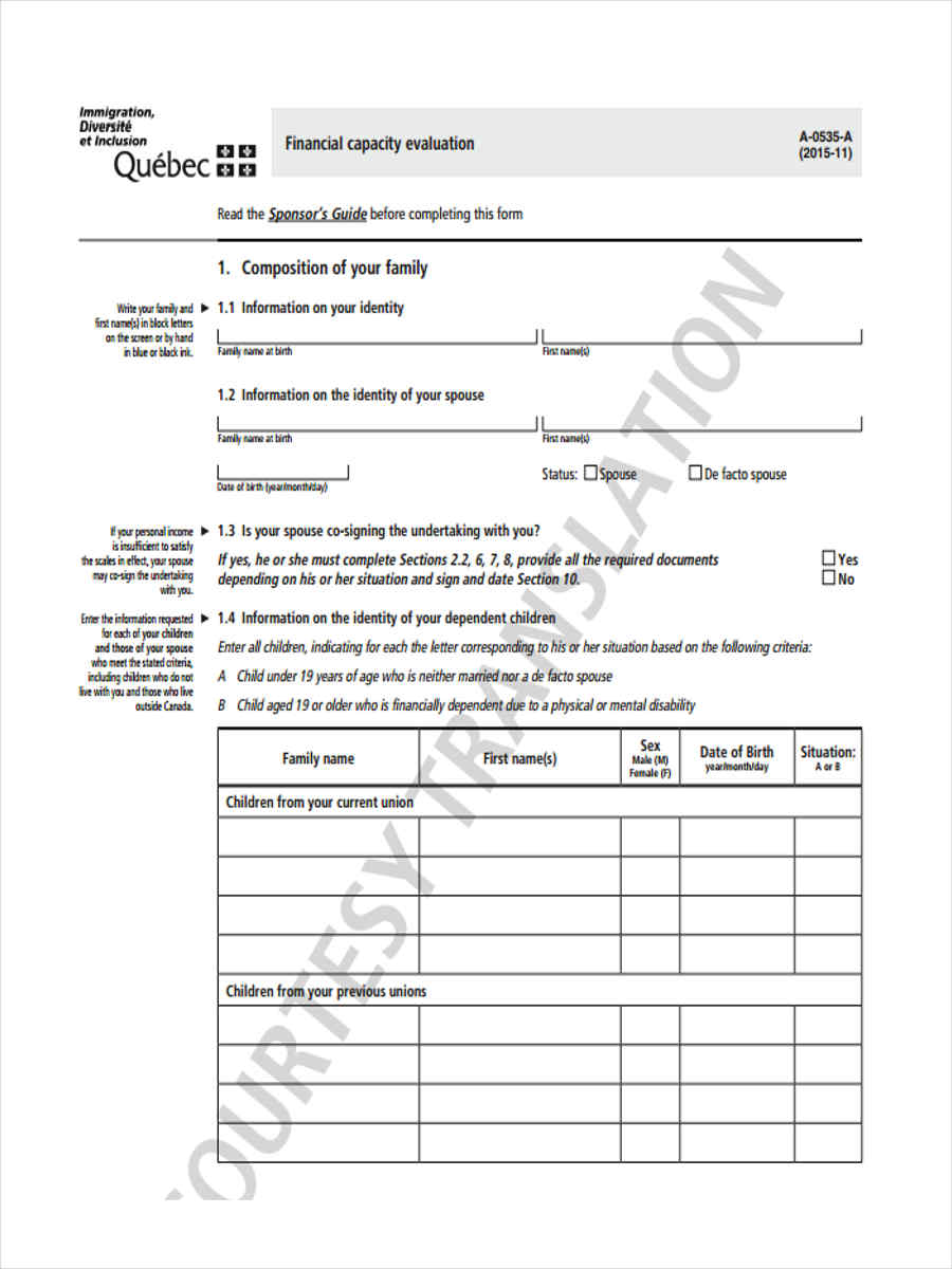 financial capacity evaluation