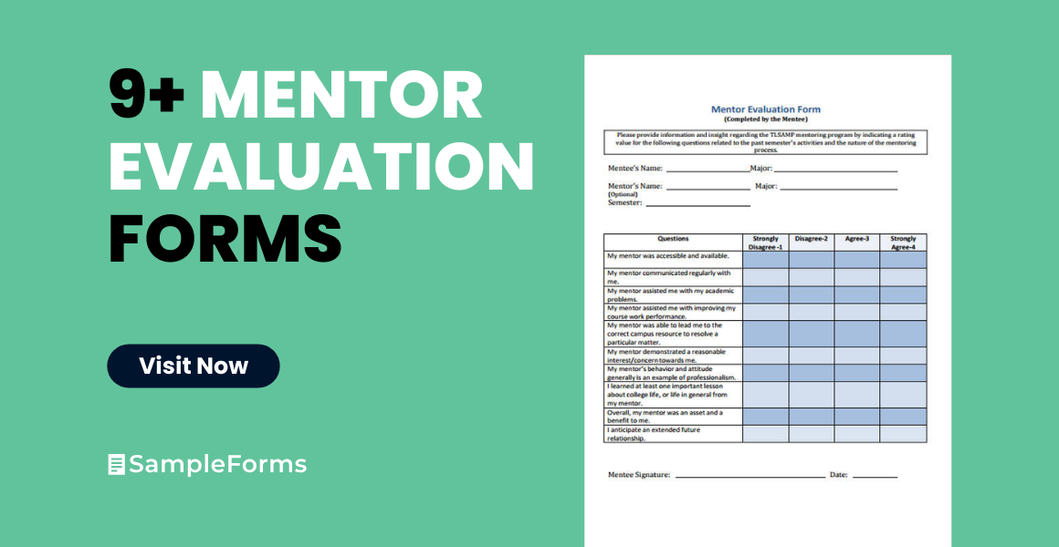 mentor evaluation form
