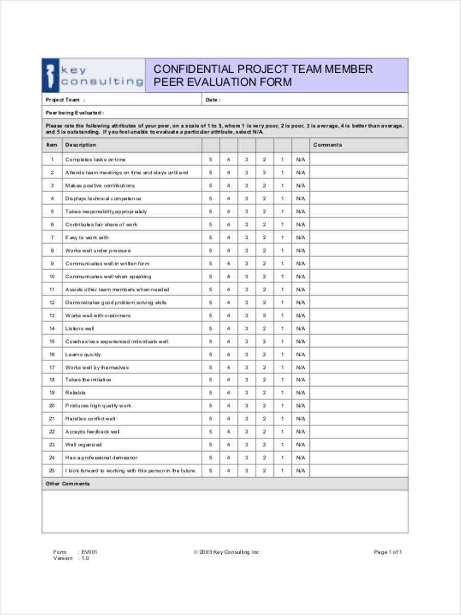 project member evaluation form