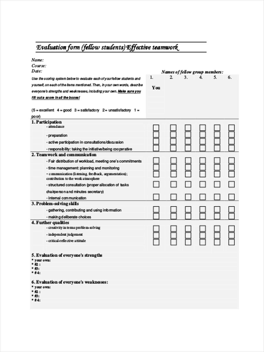 team evaluation form sample