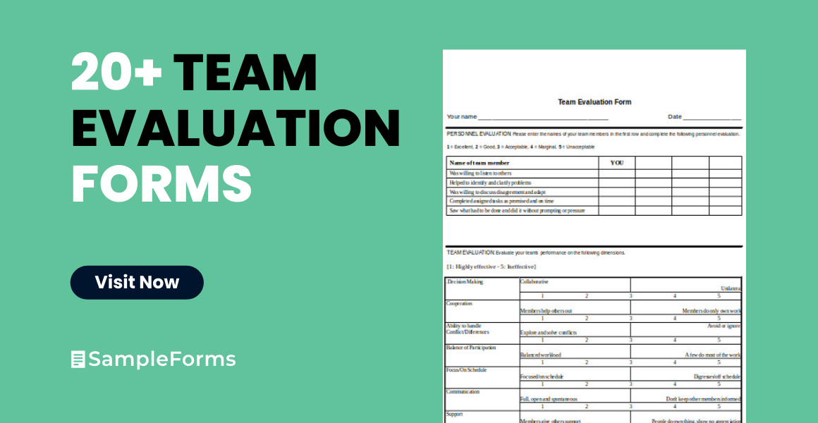 team evaluation form