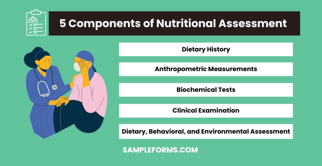 5 components of nutritional assessment 1024x530