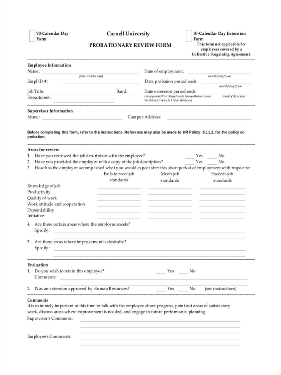 Free 8 Probation Review Forms In Ms Word Pdf