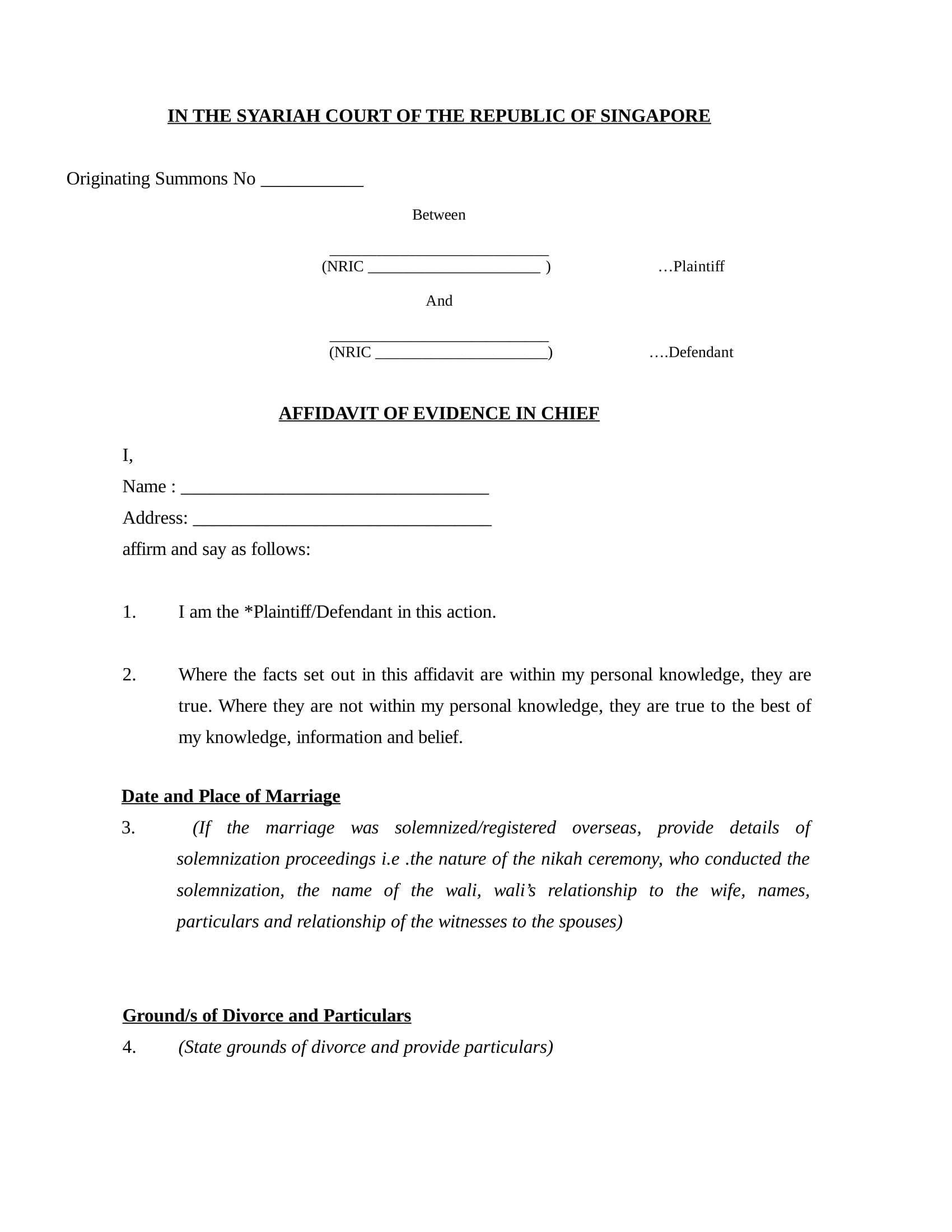affidavit of evidence in chief format 03