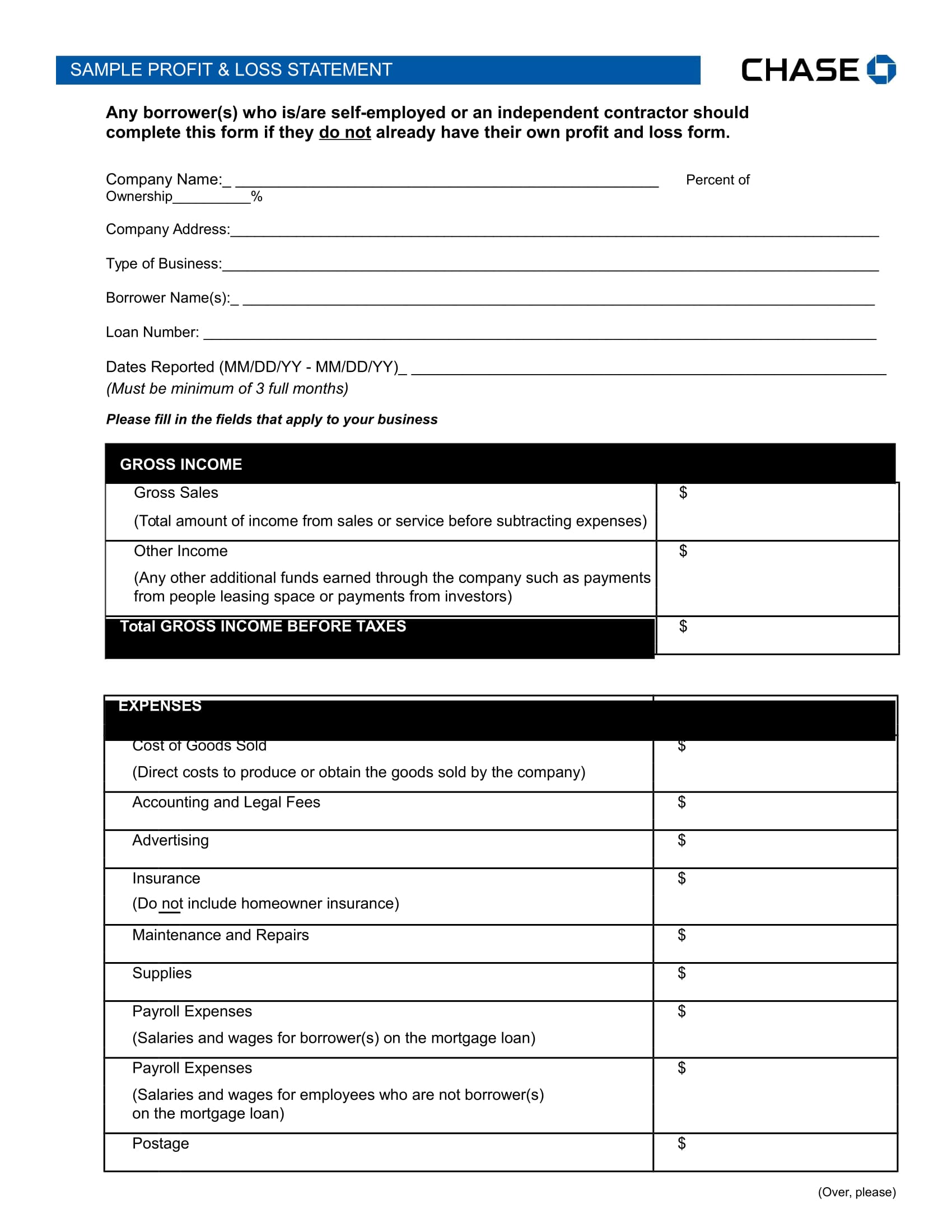 profit and loss statement form 1