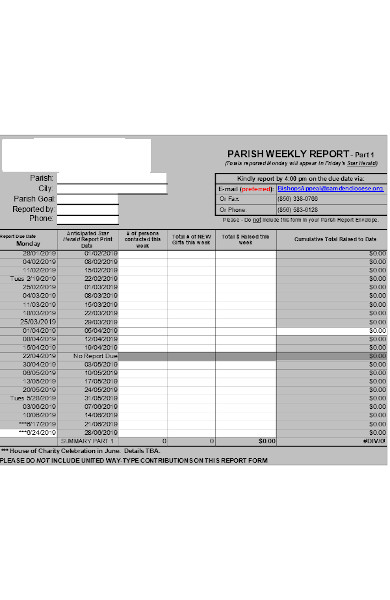 FREE 15+ Weekly Report Forms in PDF | MS Word | Excel