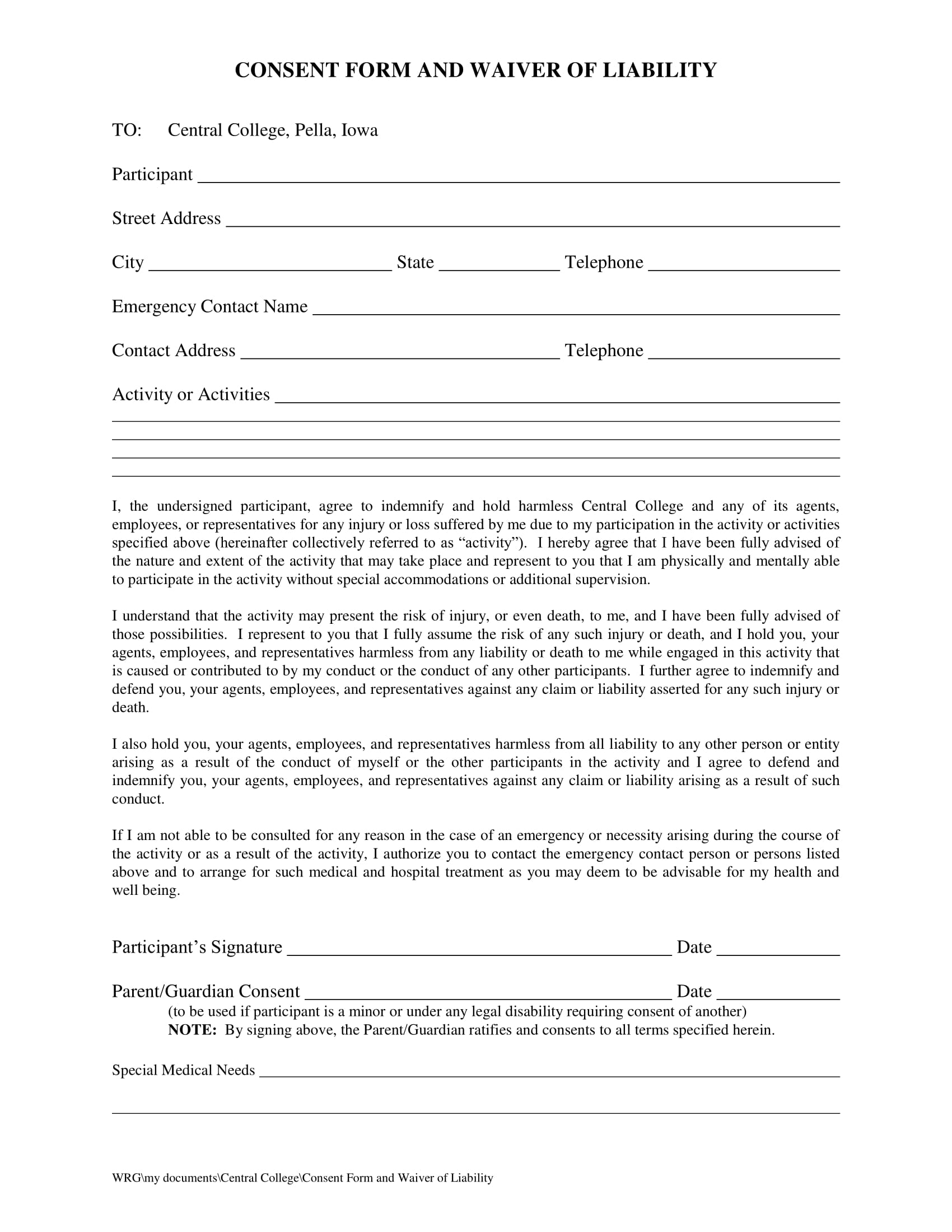 FREE 14 Legal Consent  Forms  in MS Word PDF