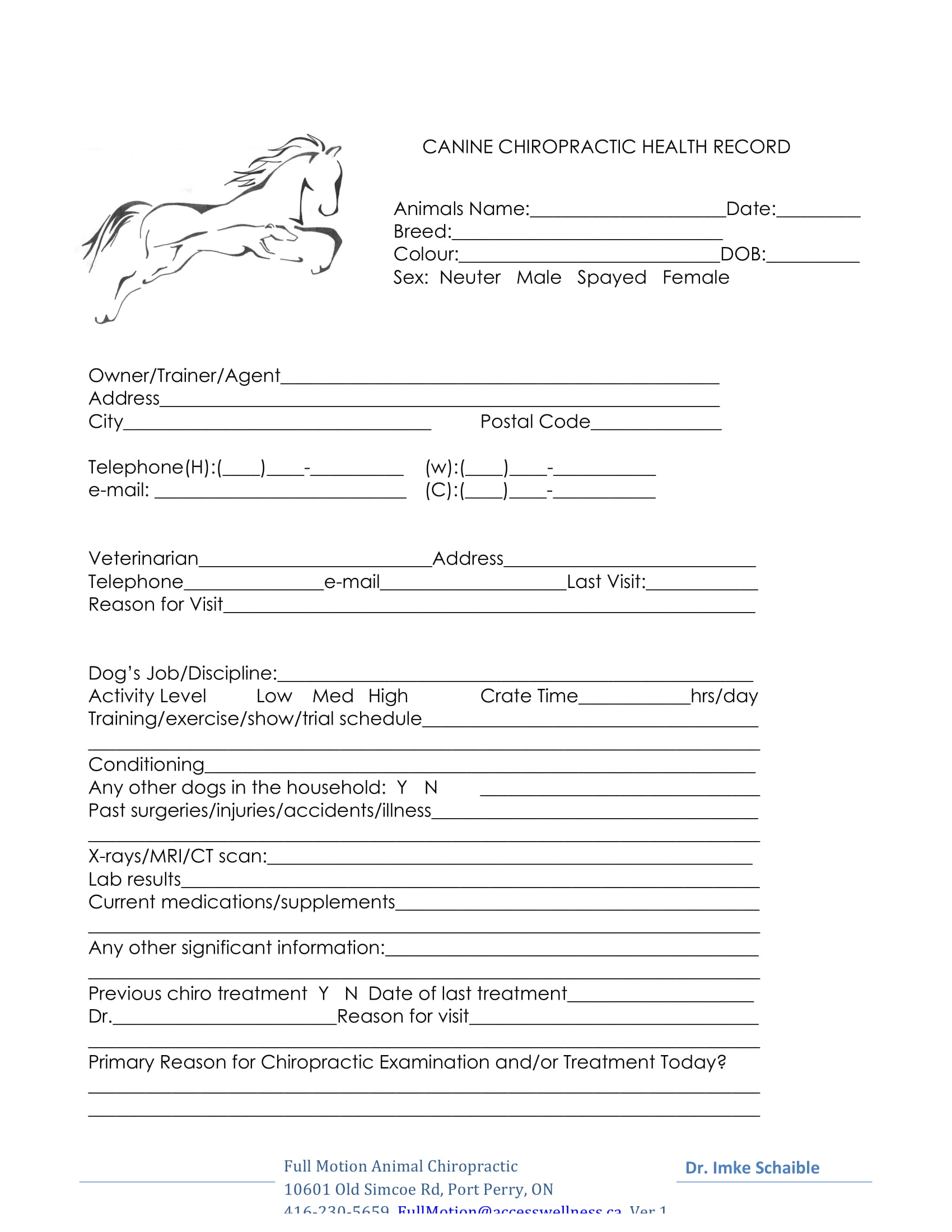 FREE 9 Chiropractic Intake Forms In PDF MS Word