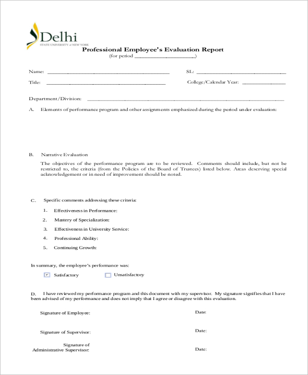 professional employees evaluation report