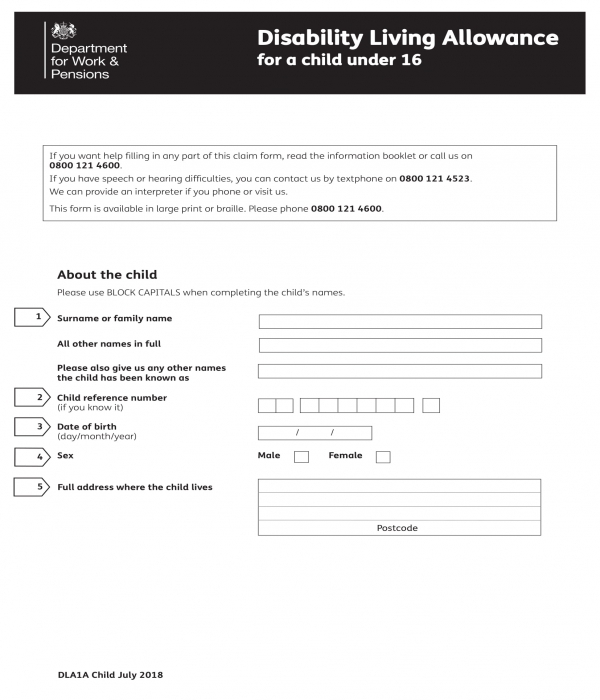 FREE 3+ Disability Allowance Forms in PDF