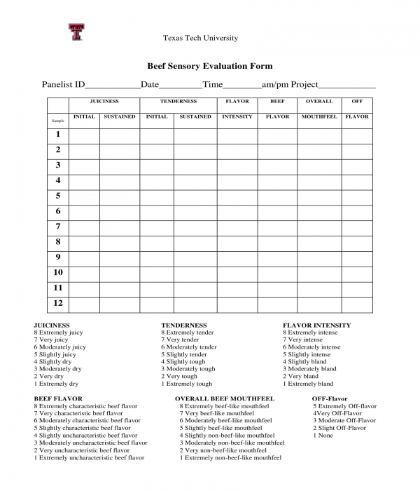 FREE 6 Sensory Evaluation Forms In PDF