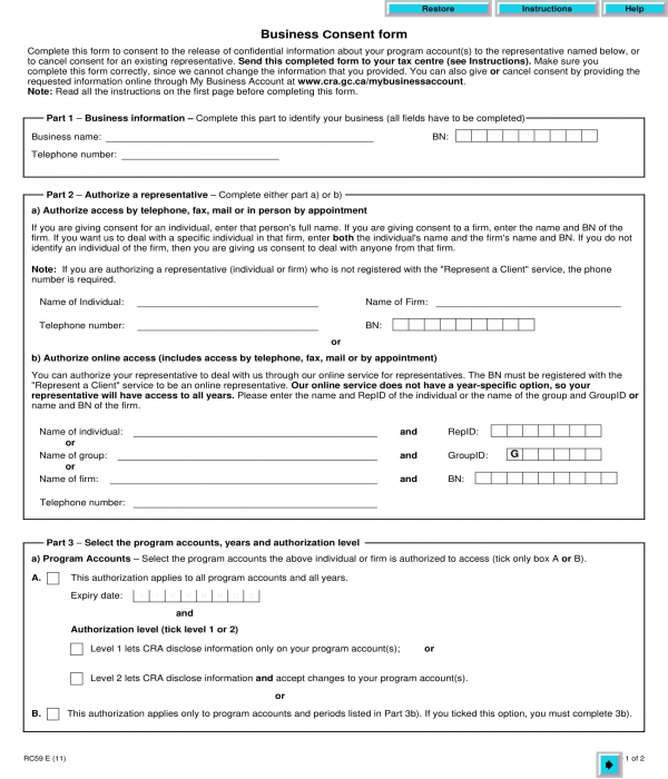 business consent form sample