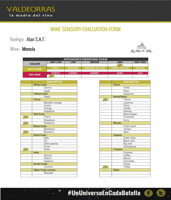 Free 6 Sensory Evaluation Forms In Pdf