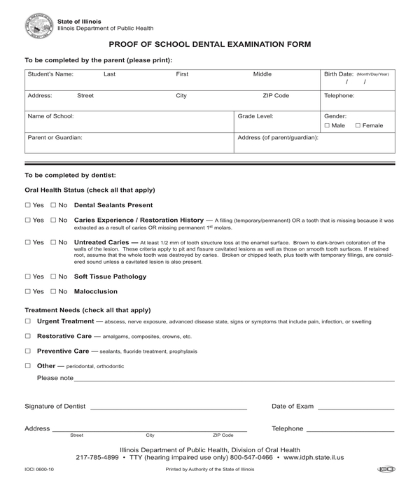FREE 5+ Dental Examination Forms in PDF MS Word