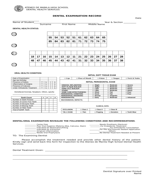 FREE 5 Dental Examination Forms In PDF MS Word