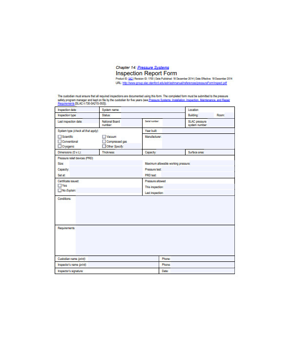 FREE 13+ Inspection Report Form Samples, PDF, MS Word, Google Docs