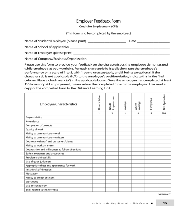 FREE 4+ Company Feedback Forms in PDF