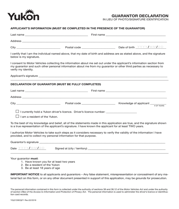 FREE 11+ Guarantor Forms in PDF | MS Word