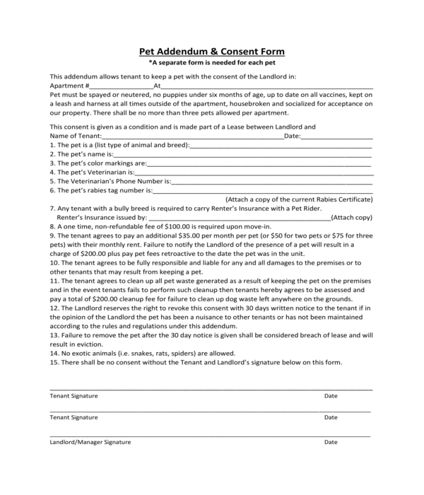 pet addendum and consent form