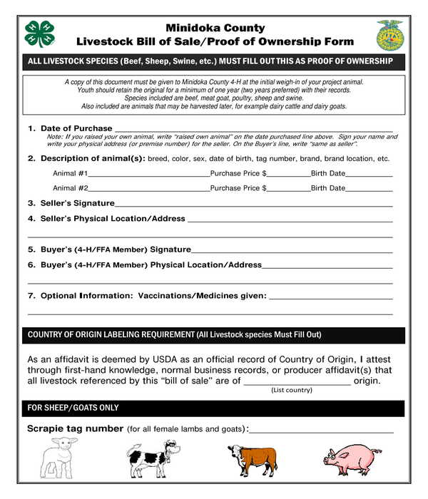 Cattle Bill Of Sale Form