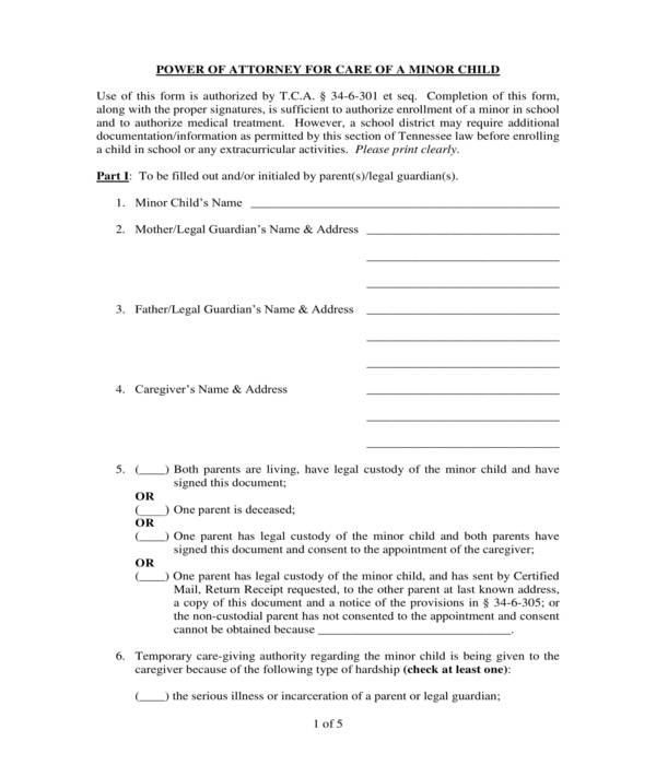 minor child power of attorney form sample