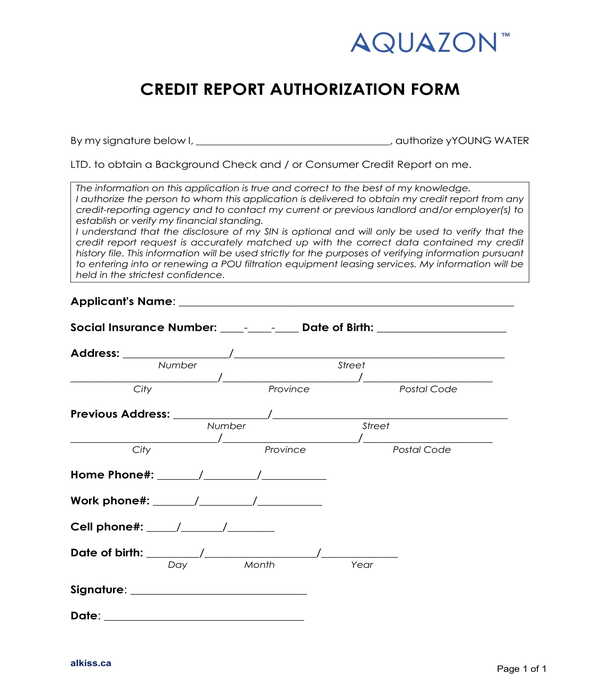 basic credit report authorization form