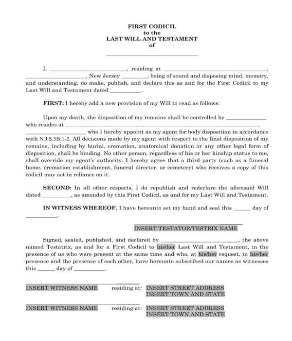 first codicil to last will form