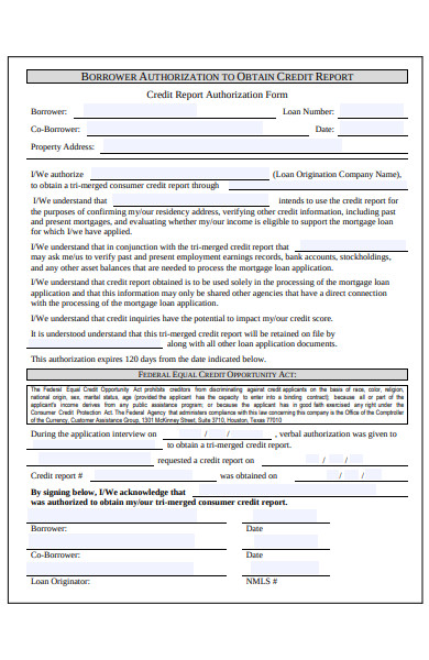 sample credit report authorization form 