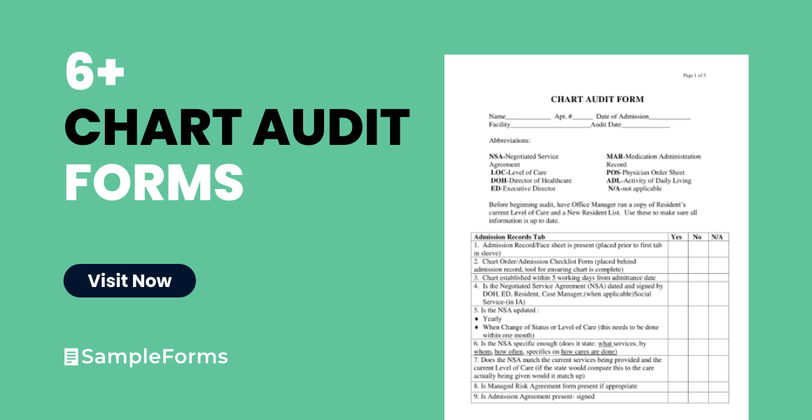 chart audit form