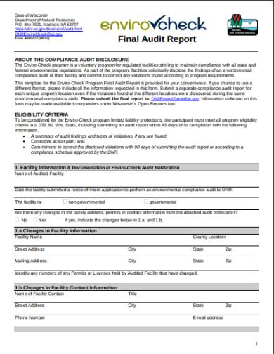 final audit report form