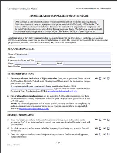 financial audit questionnaire form