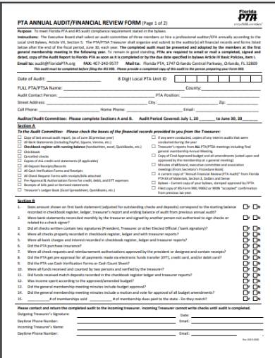 financial audit review form