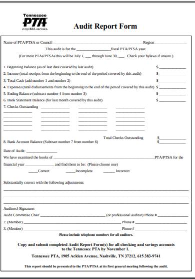 generic audit report form 