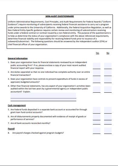 mini financial audit questionnaire form