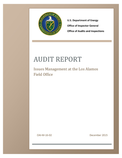 FREE 6+ Technical Audit Report Samples in PDF | MS Word