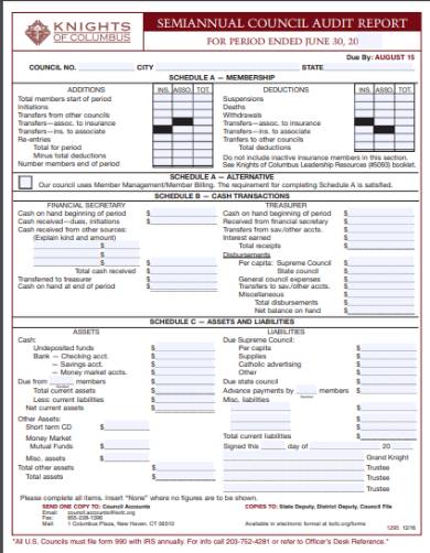 semi annual audit report form