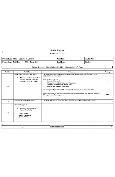 simple audit report form