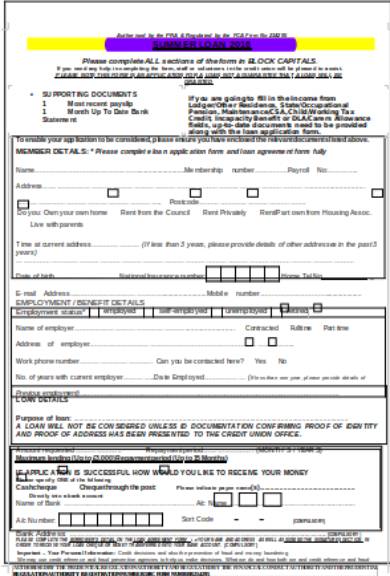 summer loan application form