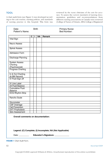 Nursing Chart Audit Tool Template