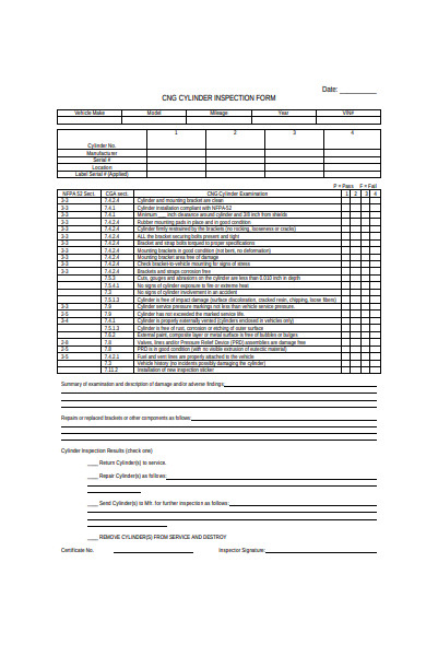 cylinder inspection form