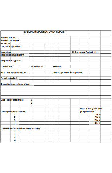 daily report form