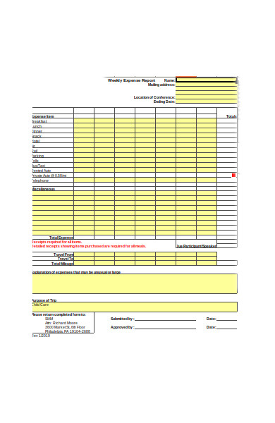expense report form 1