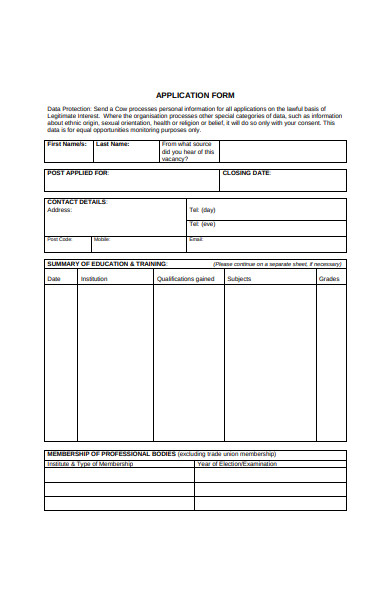 formal job application form sample