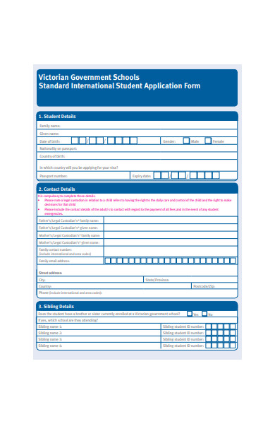 government international school application form