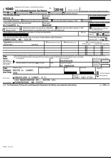 individual income tax form
