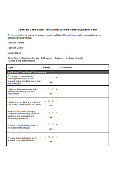 mentor evaluation form